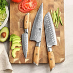 XINZUO Lan Series 73 Layers Damascus Powder Steel 3PCS Knife Set