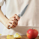 XINZUO Lan Series 73 Layers Damascus Powder Steel 3.5 inchs Paring Knife