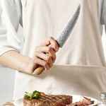 XINZUO Lan Series 73 Layers Damascus Powder Steel Steak Knife