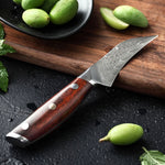 XINZUO YI SERIES 3" inch Paring Knife
