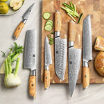 XINZUO Lan Series 73 Layers Damascus Powder Steel 6PCS Knife Set