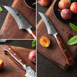 XINZUO YUN DAMASCUS SERIES 3.5''inch Paring Knife