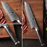 XINZUO HE SEIRES 8.5 inch Gyuto Knife