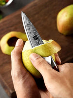 XINZUO YU SERIES 3.5" inch Paring knife