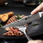 XINZUO HE SERIES 5 inches Pro Steak Knife