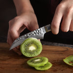 XINZUO YUN DAMASCUS SERIES 3.5''inch Paring Knife