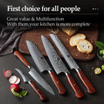 XINZUO YUN DAMASCUS SERIES 5Pcs Kitchen Knife Set