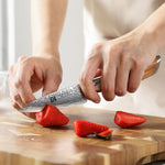 XINZUO Lan Series 73 Layers Damascus Powder Steel 5PCS Knife Set