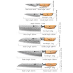 XINZUO Lan Series 73 Layers Damascus Powder Steel 6PCS Knife Set